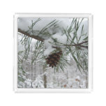 Snowy Pine Branch Winter Nature Photography Acrylic Tray