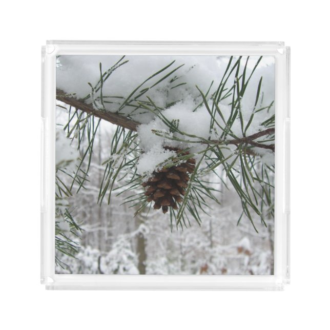 Snowy Pine Branch Winter Nature Photography Acrylic Tray (Front)