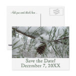 Snowy Pine Branch Winter Nature Photography Announcement Postcard