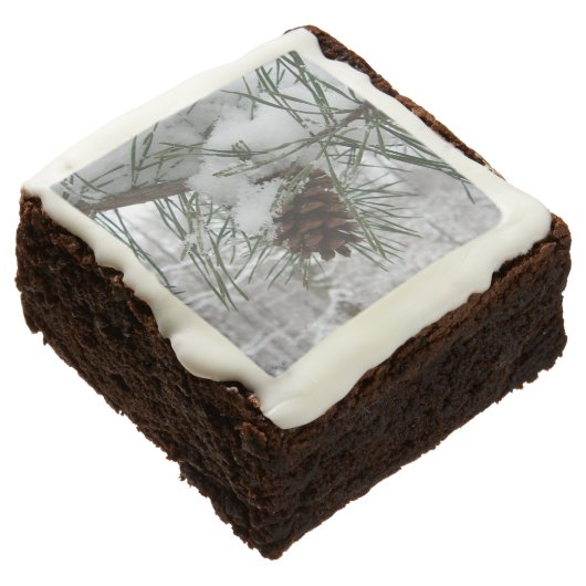 Snowy Pine Branch Winter Nature Photography Brownie (Angled)