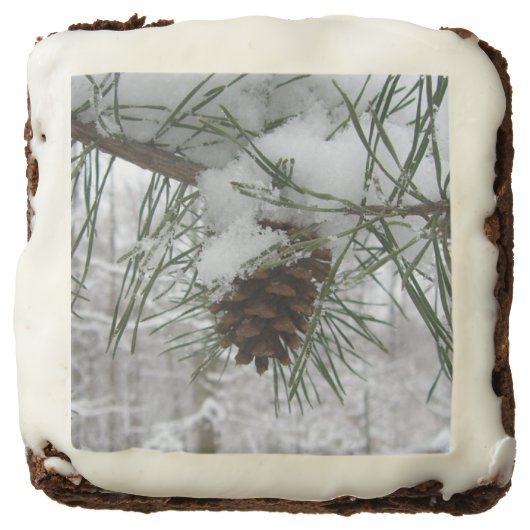 Snowy Pine Branch Winter Nature Photography Brownie (Front)