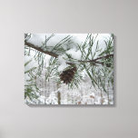 Snowy Pine Branch Winter Nature Photography Canvas Print