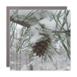 Snowy Pine Branch Winter Nature Photography Car Magnet