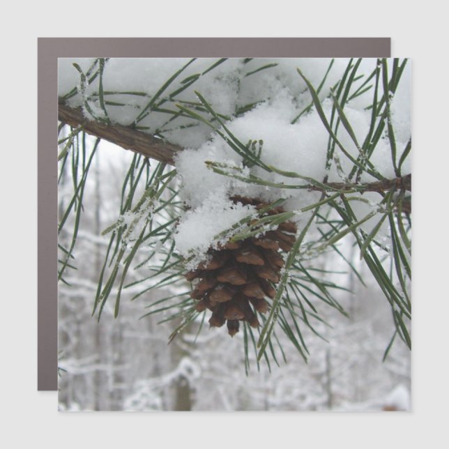 Snowy Pine Branch Winter Nature Photography Car Magnet (Front)