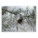Snowy Pine Branch Winter Nature Photography Card