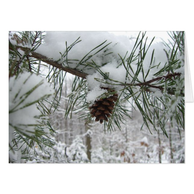 Snowy Pine Branch Winter Nature Photography Card (Front Horizontal)