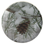 Snowy Pine Branch Winter Nature Photography Chocolate Covered Oreo