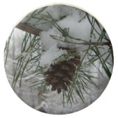 Snowy Pine Branch Winter Nature Photography Chocolate Covered Oreo (Front)