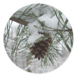 Snowy Pine Branch Winter Nature Photography Classic Round Sticker