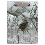 Snowy Pine Branch Winter Nature Photography Clipboard