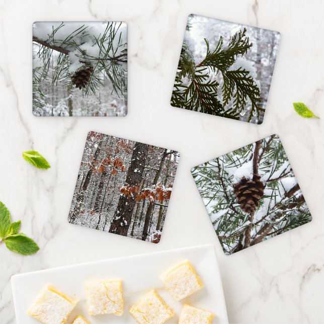 Snowy Pine Branch Winter Nature Photography Coaster Set (In Situ)