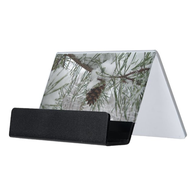Snowy Pine Branch Winter Nature Photography Desk Business Card Holder (Angled Front)