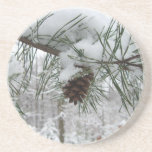 Snowy Pine Branch Winter Nature Photography Drink Coaster