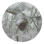 Snowy Pine Branch Winter Nature Photography Eraser