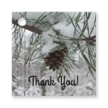 Snowy Pine Branch Winter Nature Photography Favor Tags