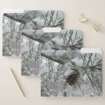 Snowy Pine Branch Winter Nature Photography File Folder