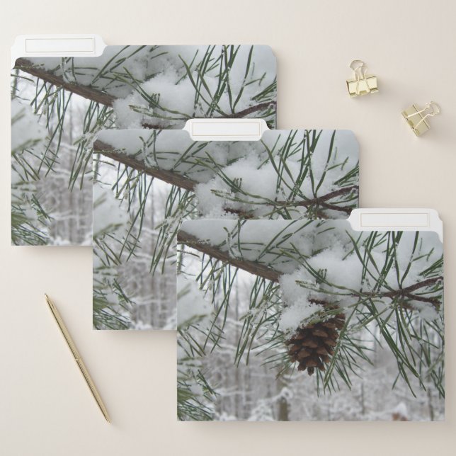 Snowy Pine Branch Winter Nature Photography File Folder (Set)