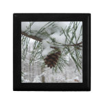 Snowy Pine Branch Winter Nature Photography Gift Box