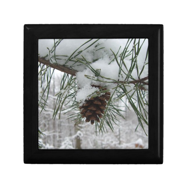 Snowy Pine Branch Winter Nature Photography Gift Box (Front)