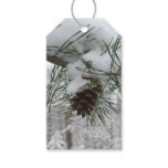 Snowy Pine Branch Winter Nature Photography Gift Tags