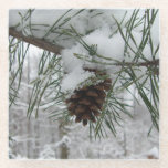 Snowy Pine Branch Winter Nature Photography Glass Coaster