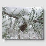 Snowy Pine Branch Winter Nature Photography Guest Book