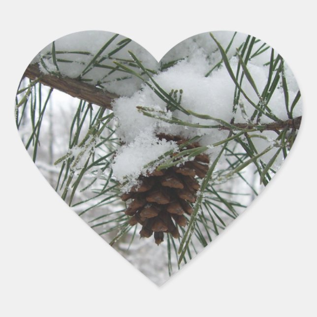 Snowy Pine Branch Winter Nature Photography Heart Sticker (Front)