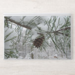 Snowy Pine Branch Winter Nature Photography HP Laptop Skin
