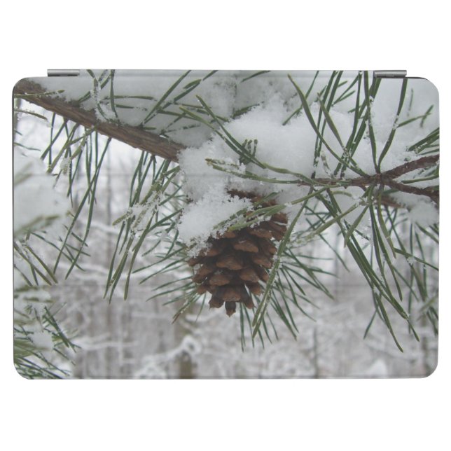 Snowy Pine Branch Winter Nature Photography iPad Air Cover (Horizontal)