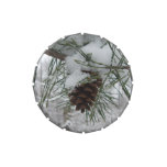 Snowy Pine Branch Winter Nature Photography Jelly Belly Tin