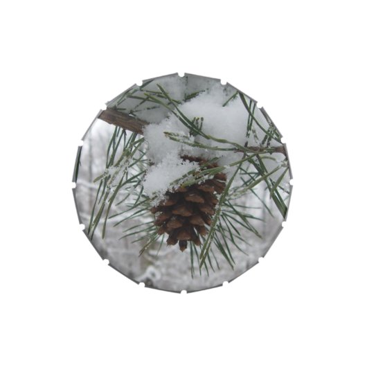 Snowy Pine Branch Winter Nature Photography Jelly Belly Tin (Top)