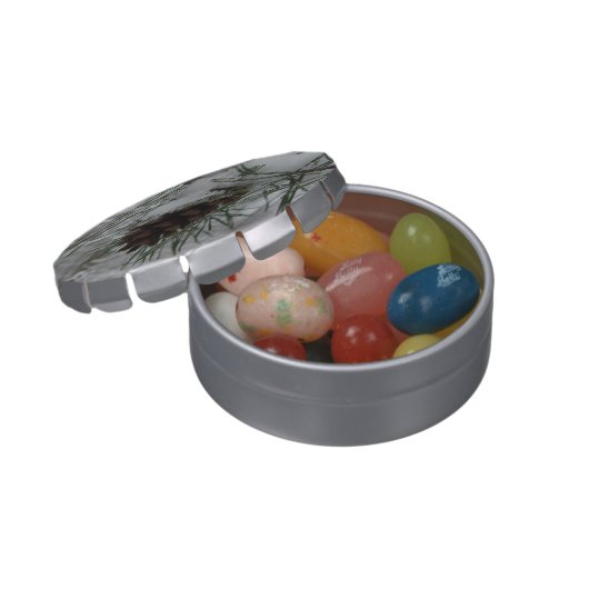 Snowy Pine Branch Winter Nature Photography Jelly Belly Tin (Opened)