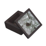 Snowy Pine Branch Winter Nature Photography Jewelry Box