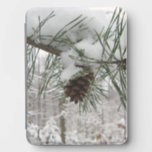 Snowy Pine Branch Winter Nature Photography Kindle Cover