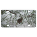 Snowy Pine Branch Winter Nature Photography License Plate