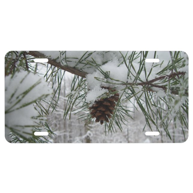Snowy Pine Branch Winter Nature Photography License Plate (Front)