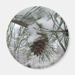 Snowy Pine Branch Winter Nature Photography Magnet