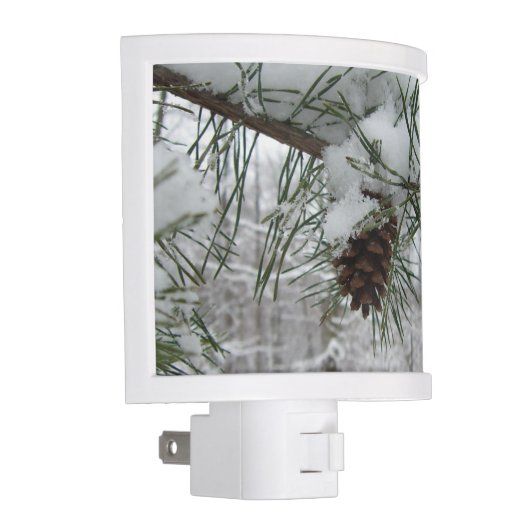 Snowy Pine Branch Winter Nature Photography Night Light (Right)