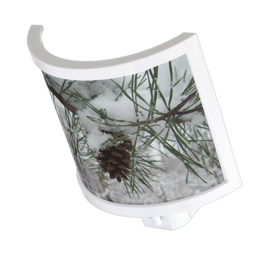 Snowy Pine Branch Winter Nature Photography Night Light (Angled)