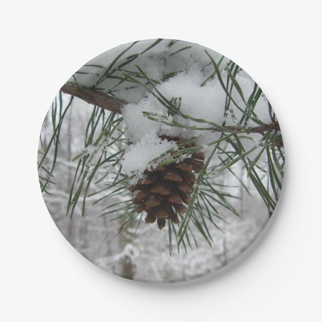 Snowy Pine Branch Winter Nature Photography Paper Plates (Front)