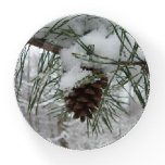 Snowy Pine Branch Winter Nature Photography Paperweight