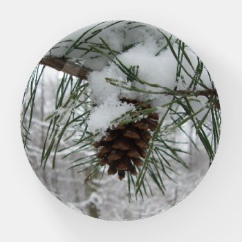 Snowy Pine Branch Winter Nature Photography Paperweight by mlewallpapers at Zazzle