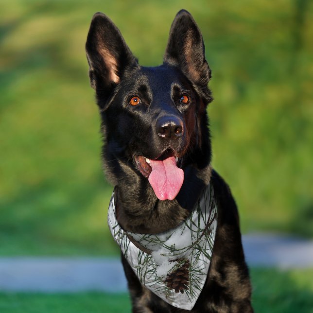 Snowy Pine Branch Winter Nature Photography Pet Bandana Collar (Dog)