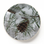 Snowy Pine Branch Winter Nature Photography PopSocket