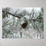 Snowy Pine Branch Winter Nature Photography Poster