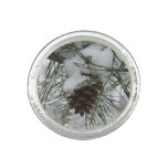 Snowy Pine Branch Winter Nature Photography Ring