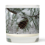 Snowy Pine Branch Winter Nature Photography Scented Candle