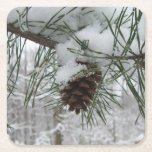 Snowy Pine Branch Winter Nature Photography Square Paper Coaster