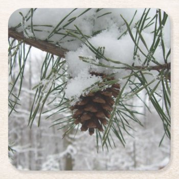 Snowy Pine Branch Winter Nature Photography Square Paper Coaster by mlewallpapers at Zazzle