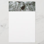 Snowy Pine Branch Winter Nature Photography Stationery